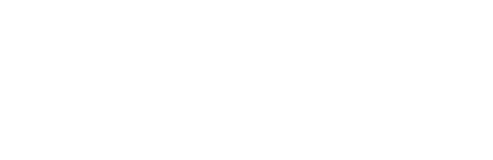 Logo White